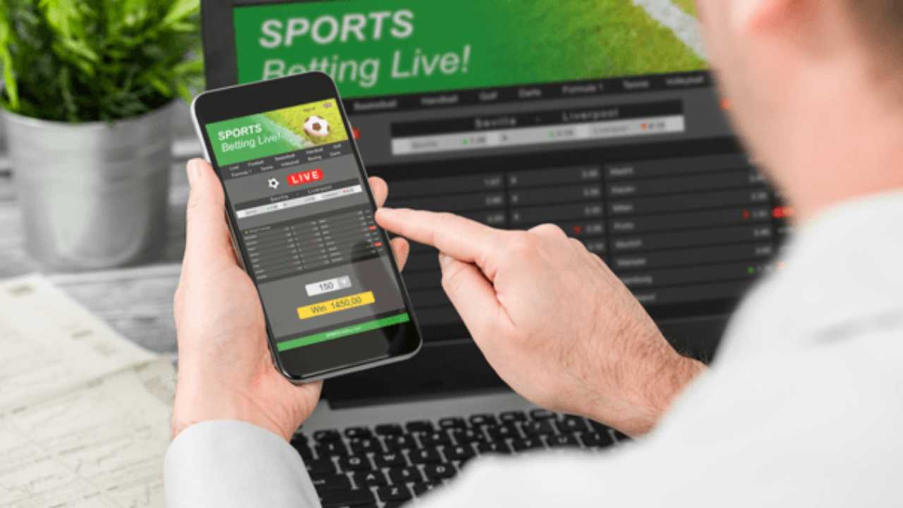 Lionsbet Mobile Version and Mobile Application